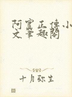 阿宾正传小说全文笔趣阁