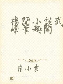 杨开小说武炼巅峰笔趣阁封面