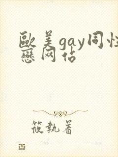 欧美gay同性恋网站