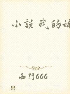 小说 我的娇妻封面