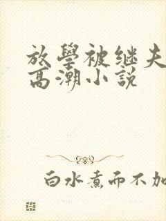 放学被继夫添到高潮小说封面