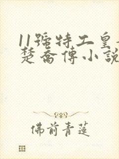 11号特工皇妃楚乔传小说