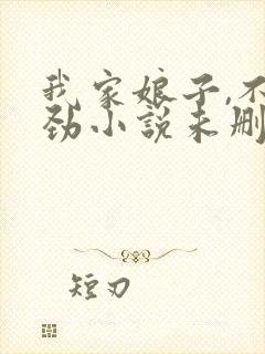 我家娘子,不对劲小说未删版完整