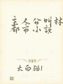 主人公叫林北的都市小说