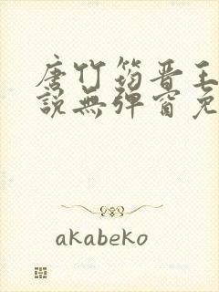 唐竹筠晋王的小说无弹窗免费阅读封面