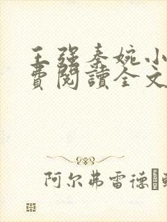 王强秦婉小说免费阅读全文