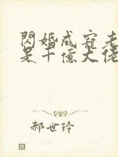 闪婚成宠老公竟是千亿大佬.封面