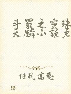 斗罗之灵珠神剑天麟小说免费完整在线阅读