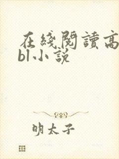 在线阅读高h bl小说