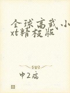 全球高武小说txt精校版