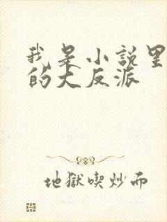 我是小说里共同的大反派