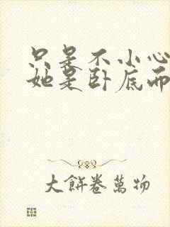 只是不小心发现她是卧底而已