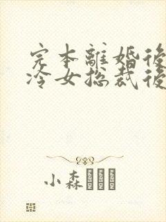 完本离婚后,高冷女总裁后悔封面