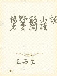 杨野的小说全文免费阅读