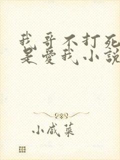 我哥不打死我就是爱我小说免费阅读