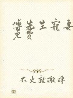 傅先生宠妻无度免费