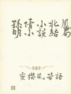 孙倩小北凤枝家明小说结局