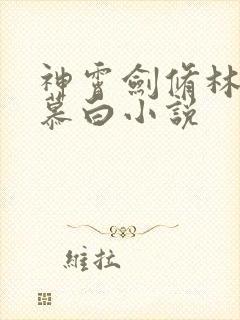 神霄剑修林枫苏慕白小说封面