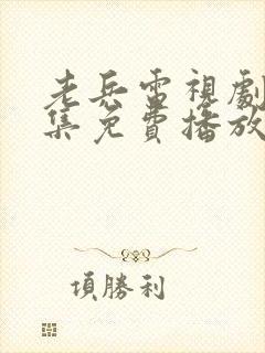 老兵电视剧40集免费播放