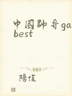 中国帅哥gay best