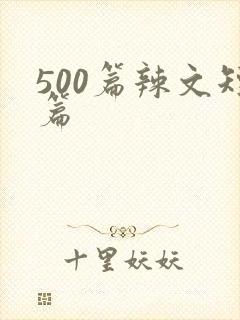 500篇辣文短篇封面