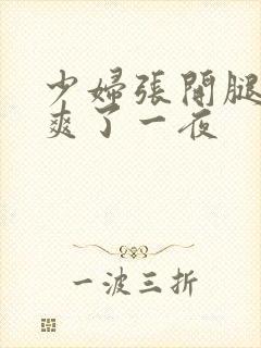 少妇张开腿让我爽了一夜