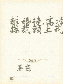 离婚后,高冷女总裁赖上我全本