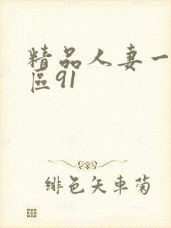 精品人妻一区二区91