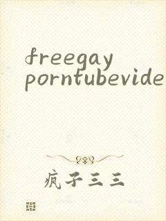 freegayporntubevideos