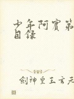 少年阿宾第二部目录