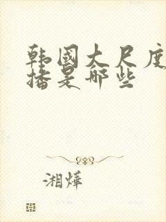 韩国大尺度女主播是哪些封面