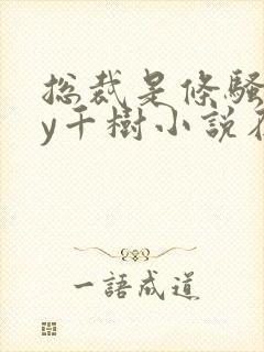 总裁是条骚狗by千树小说在线阅读最新