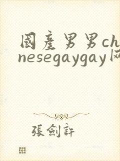 国产男男chinesegaygay网站