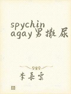 spychinagay男撒尿集锦