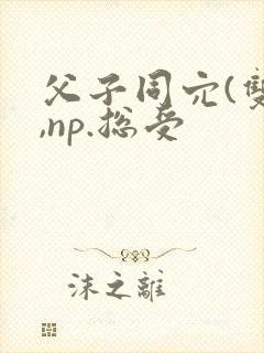 父子同穴(双性,np.总受