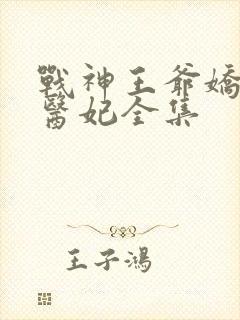 战神王爷娇宠小医妃全集封面