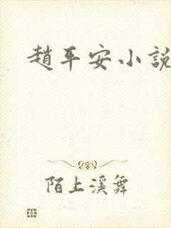 赵平安小说主角