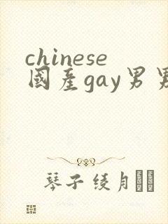 chinese国产gay男男网站