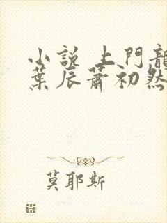 小说 上门龙婿叶辰萧初然