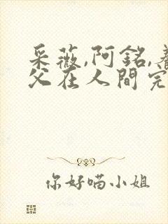 采薇,阿铭,养父在人间完整版封面