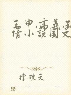 王申,高义,孙倩小说图文在线阅读