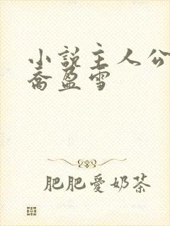 小说主人公沈荡乔盈雪