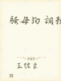 骚母狗 调教封面