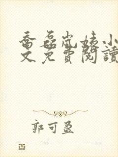 乔磊岚姨小说全文免费阅读