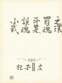 小说斗罗之我的武魂是魂环全文阅读