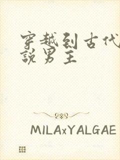 穿越到古代的小说男主封面