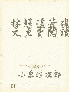 林照溪萧砚川全文免费阅读