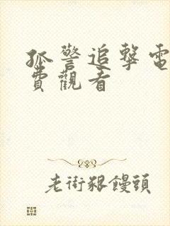 孤警追击电影免费观看