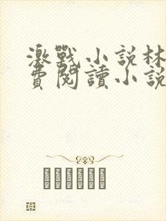 激战小说林姨免费阅读小说