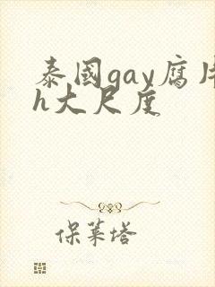 泰国gay腐片h大尺度